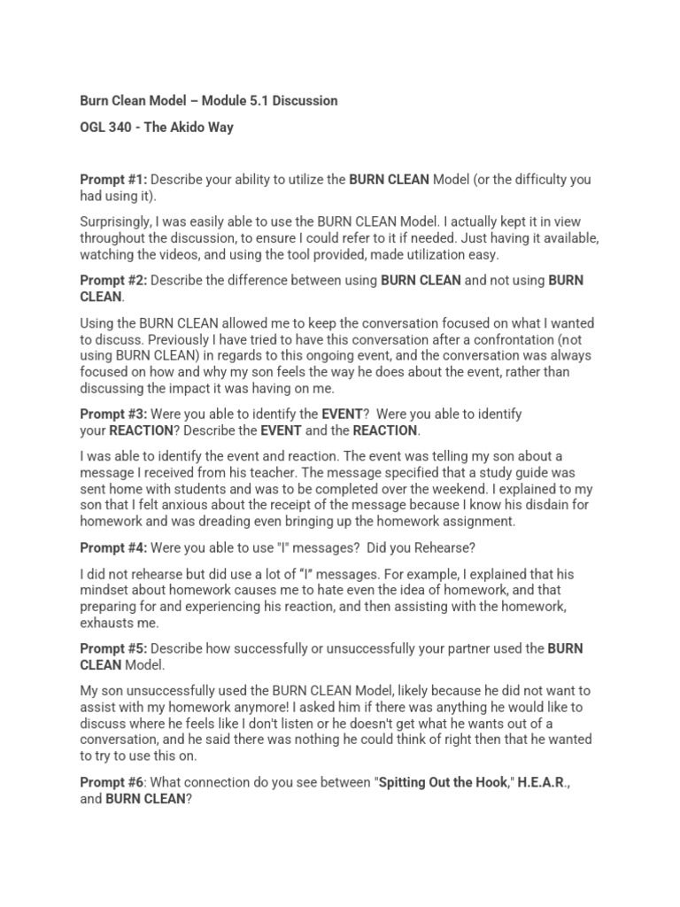 Burn Clean Model Conflict Management Artifact PDF Homework