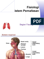 1. Physiology of Respiration