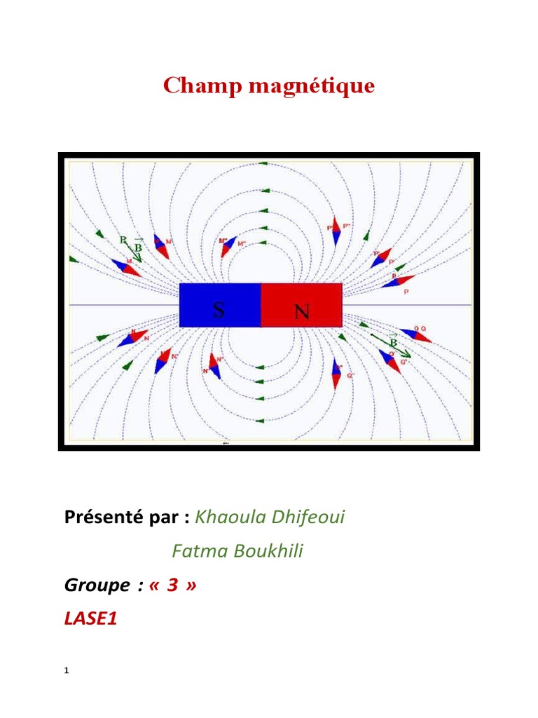 Chapitre 8 Le Champ Magnetique, PDF, Aimant permanent