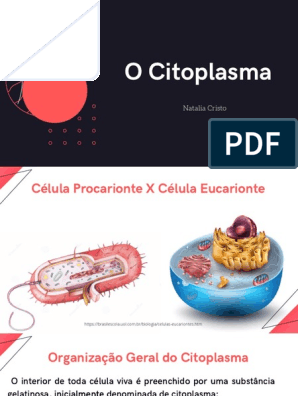 Citoplasma: definição, nos eucariontes, funções - Brasil Escola