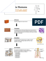 Apostila Neuroanatomia