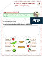 Organizamos Los Alimentos Saludables