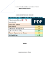 Rodriguez Melendez Pablo Andres