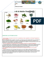 Tarea de DPCC