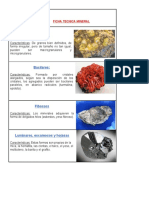 Ficha Técnica