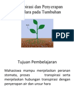 Transpirasi, Penyerapan Air Dan Unsur Hara