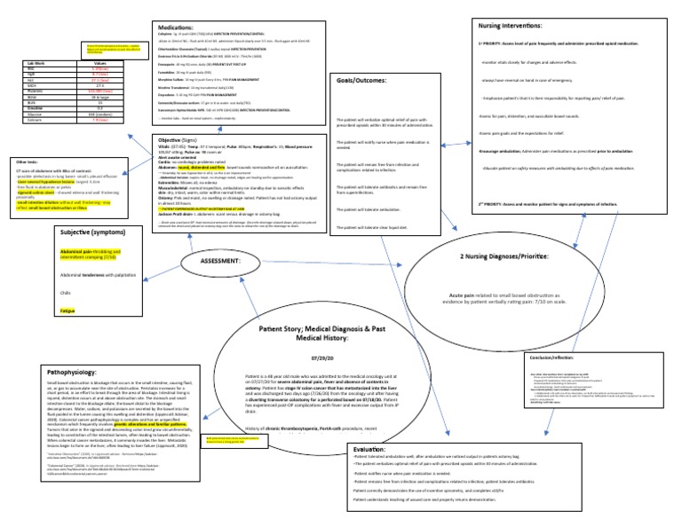 Small Bowel Obstruction Concept Map  PDF  Colorectal Cancer  Cancer
