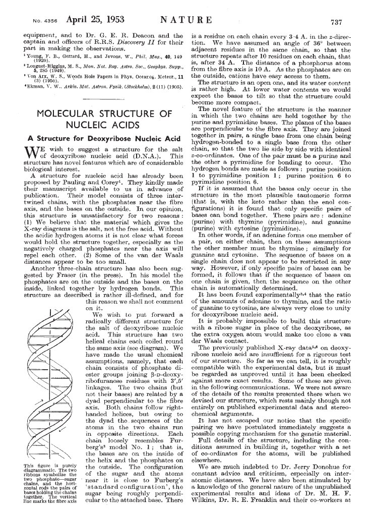 Molecular Structure of Nucleic Acids | PDF