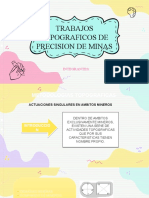 Trabajos Topograficos de Precision de Minas