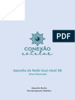 Apostila de Reiki Usui nível 3B - Nível Mestrado