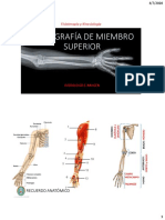 Aula 006 - RX de Miembros Superiores e Introducción A La Ecografia