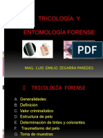 TRICOLOGIA FORENSE Y ENTOMOLOGÍA FORENSE