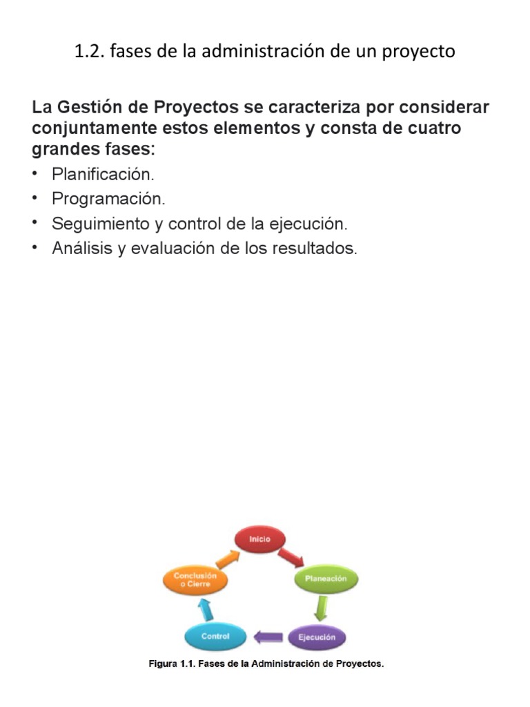 Fases de Un Proyecto | PDF