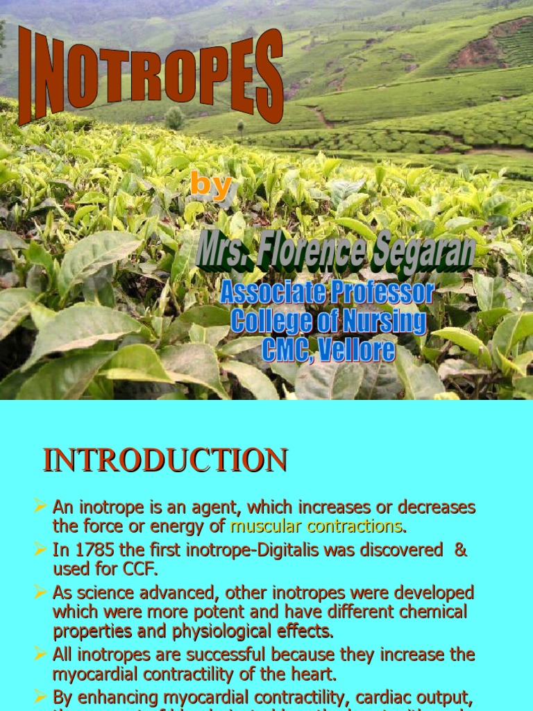 Overview of Inotropes in Cardiac Care | PDF | Heart | Chess