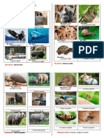 Adjectives To Classify Animals Segundo