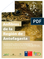 Anfibios de la Región de Antofagasta