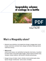 Microbial Ecology in a Bottle: The Winogradsky Column