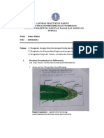 Optimized Title for Plant Tissue Practicum Report