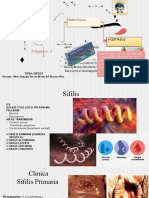 Subgrupo A Sifilis