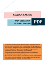 Cellular Aging