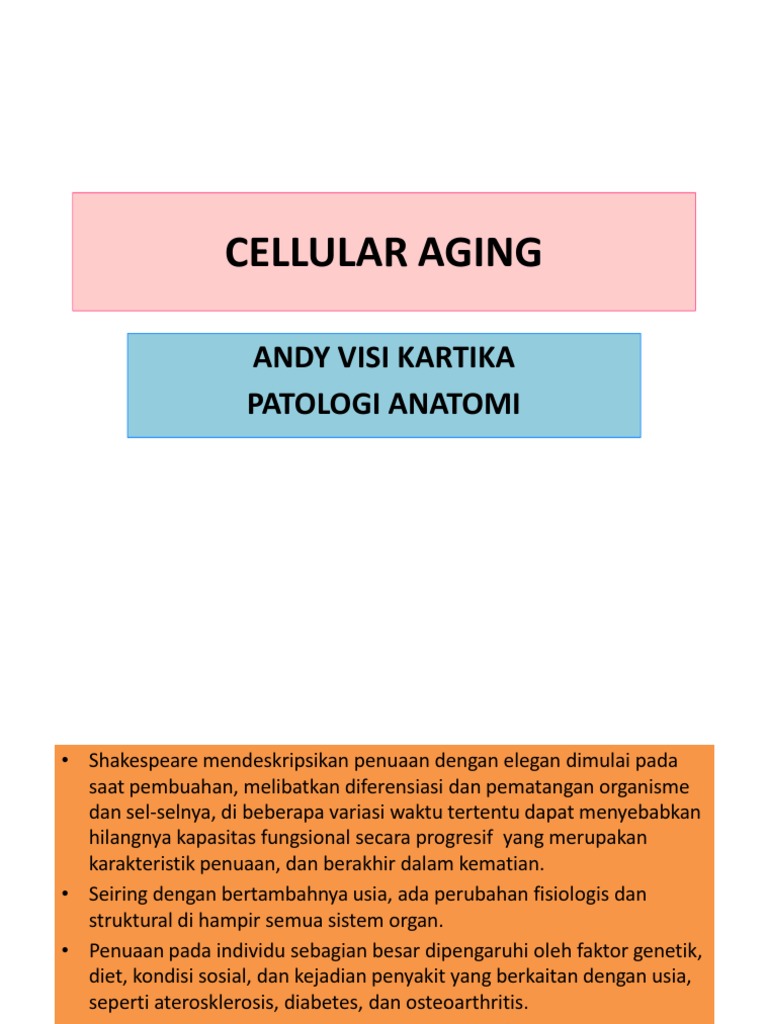 anti aging celluláris folyamat meghatározása