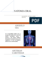 Anatomia Oral III Angiologia