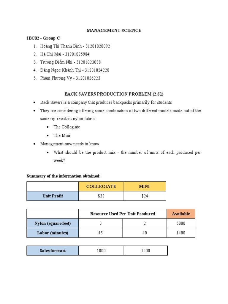 Back Savers Backpack Profit Optimization | PDF | Loss Function ...