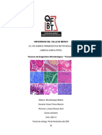 Técnicas de Diagnóstico en Laboratorio - Tinciones