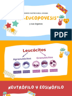 Leucopoyesis