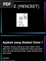 Download DIARE MENCRET by Ingrid Amadea SN53793251 doc pdf