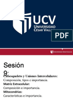 UCV Células estructuras