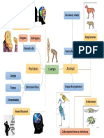 Mapa Sobre El Cuerpo Humano y Animal