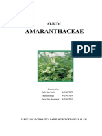 Amaranthaceae