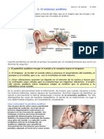 El Sistema Auditivo