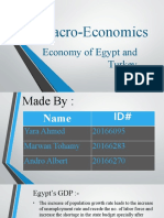 Macro-Economics: Economy of Egypt and Turkey