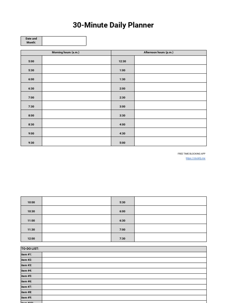 30 Minute Daily Planner | PDF
