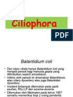 Ciliophora