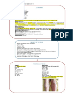 Map Alur Diagnosa Minggu 2 REVISI FIXXX