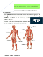 Aparato Locomotor