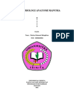 Tugas Fisiologi Anatomi Manusia