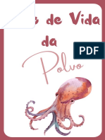 Ciclo de Vida do polvo