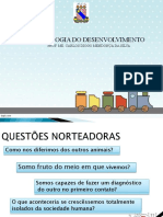 Desenvolvimento PDF