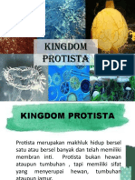 Kingdom Protista-2