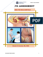 Assessing Male Genitalia: Techniques and Findings