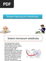 Sistem nervosum_rev