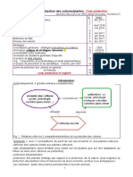 Défense Des Cultures M2