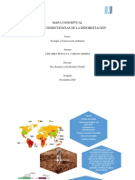 Mapa Conceptual Deforestación