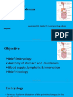 Anatomy Stomach & Duodenum: by Mekonnen.A (R1)