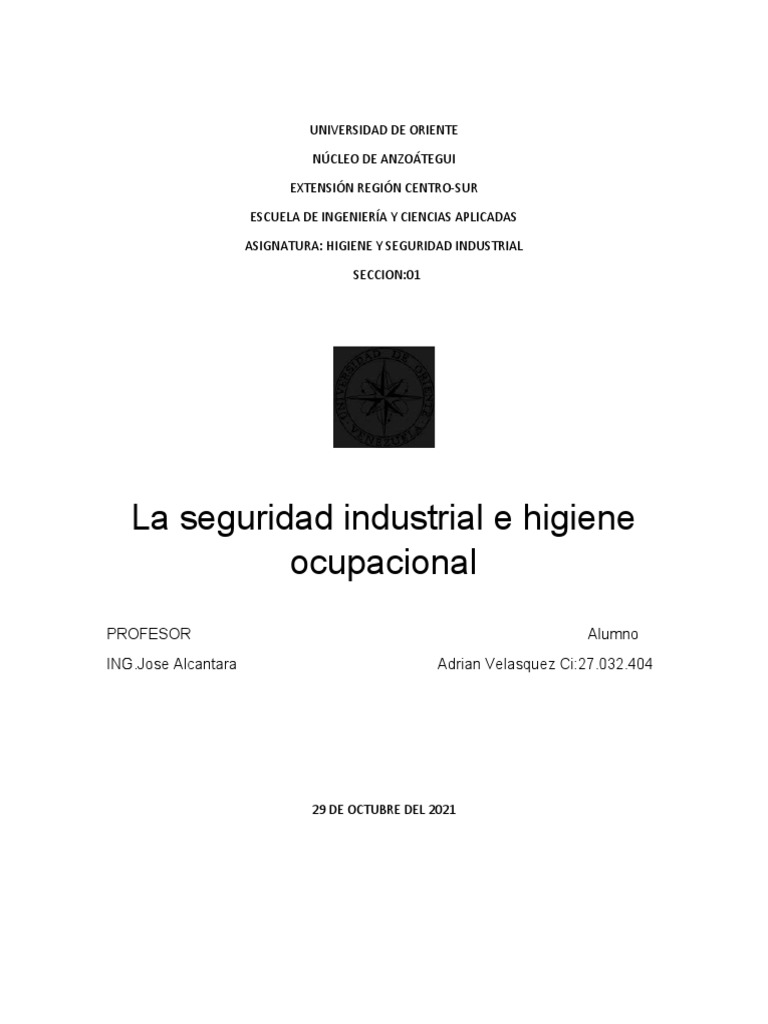 Seguridad e Higiene Industrial en Trabajo | PDF | Valores | Seguridad y ...