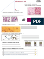 5cir_y_selecc_n.2 (IV BIMESTRE ) 